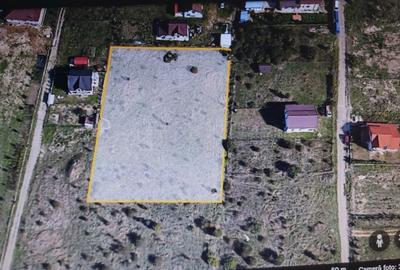 Teren intravilan 4664 mp Focsani cu doar 18 euro/mp - 2