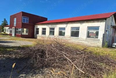 Spațiu comercial, de 1,446 mp, în Filiași - 7