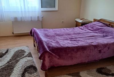 Casă cu 3 camere în Oncea - 3