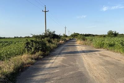 Teren de 6400 mp, în Adunații-Copăceni - 10