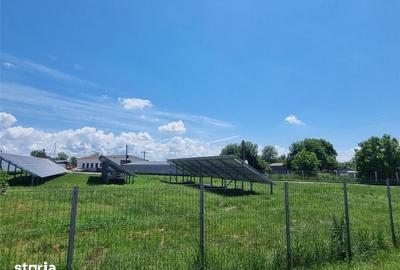 Teren de 27500 mp, în Săucești - 3