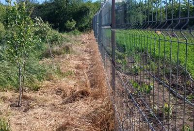 Casă cu Teren 2000 Mp în Stoenești - 1