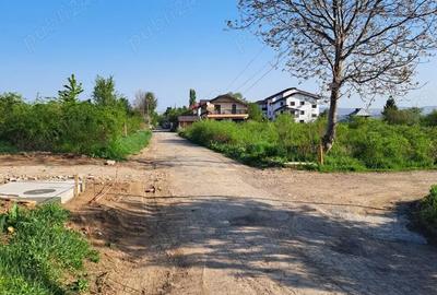 Teren de 2607 mp, în Vișan - 4