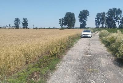 Teren de 6500 mp, în Golești - 2