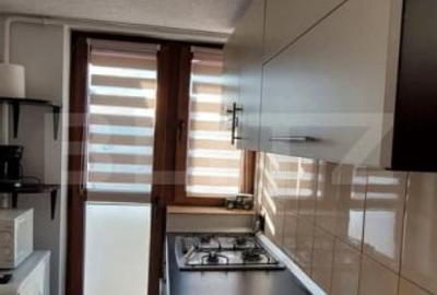 Apartament 3 camere langa Parcul Tatarasi - 3