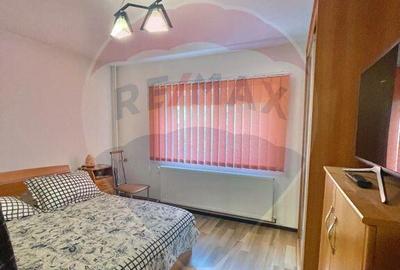 Apartament cu 2 camere str. Pridvorului parc Tineretului - 3