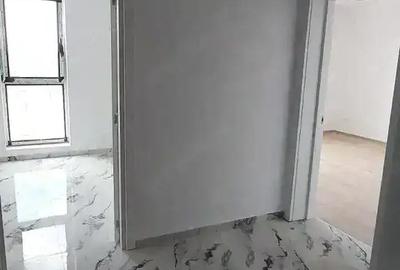 Apartament cu 2 camere decomandat în Giroc - 12
