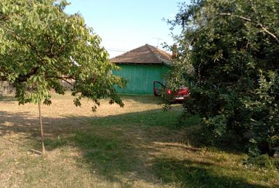Vand casa Rebricea Jud Vaslui - 2