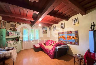 Casă individuală cu 2 camere cu Canalizare în Berința - 6