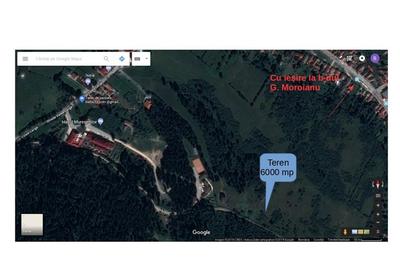 Teren de 4000 mp, în Satulung - 1