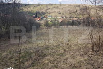 Spațiu comercial, în Suceagu - 2