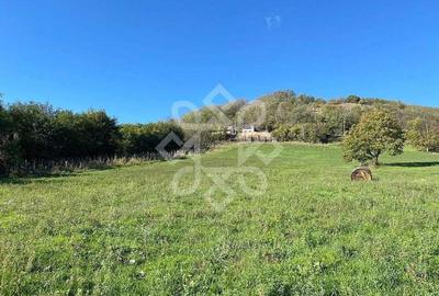 Teren extravilan de vanzare 4045 mp in zona Tileagd Teren extravilan de vanzare 4045 mp in zona Tileagd - 4