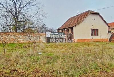 Casă cu 2 camere cu Teren 1440 Mp în Secusigiu - 6