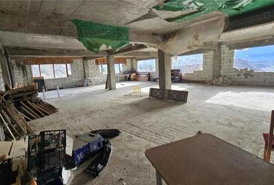 Spatiu Comercial cu terase si Hale de Vanzare in Frasin Suceava 0727817187 - 1