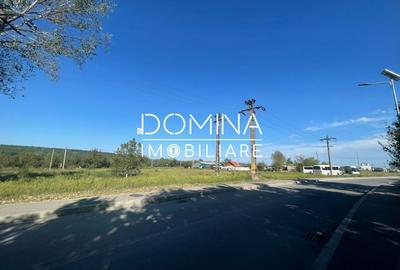 Teren Construcții intravilan de 5173 mp, în Est - 7