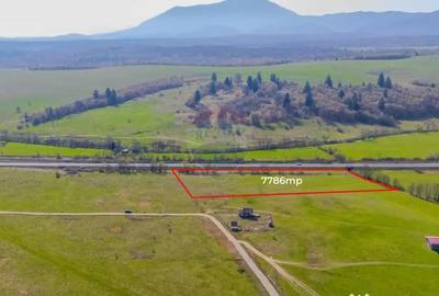 Teren de 7786 mp, în Vlădeni - 2