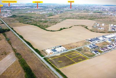 Teren Construcții intravilan de 1320 mp, în Moșnița Nouă - 3