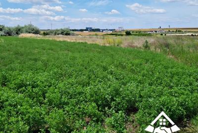 Teren Construcții intravilan de 5000 mp, în Ovidiu - 3