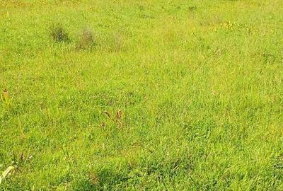 Teren de 25700 mp, în Central - 3