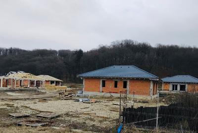 Casă individuală cu 3 camere cu Teren 500 Mp în Primăverii - 2