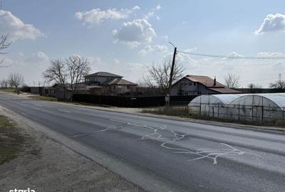 Spațiu comercial, în Pasărea - 3