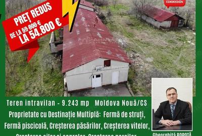 Moldova Noua, Proprietate cu Destinatie Multipla: Hala Productie Procesare a Carnii, Teren Intravila - 16