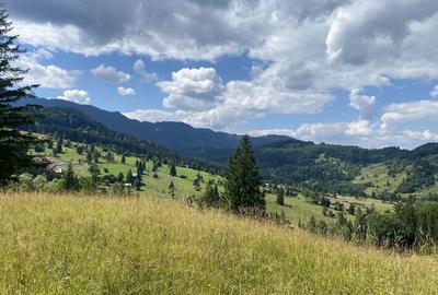 Teren de 11500 mp, în Exterior Vest - 6