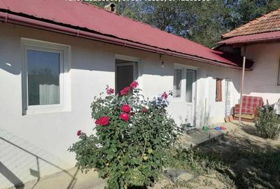 Casa situata in Bumbesti Pitic - Carligei - 5