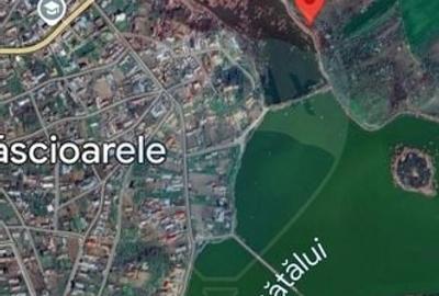 Teren la lac 2 loturi Calarasi, Cascioarele - 2