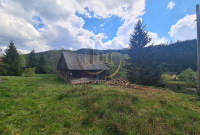 Casă cu 5 camere în Central - 1