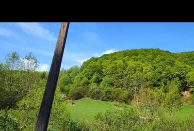 Spațiu comercial, în Valea Inzelului - 1