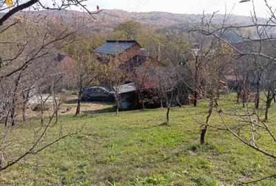 Casa in Drajna de Jos, jude?ul Prahova - 3