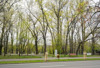 Apartament cu 3 camere decomandat, mobilat în Băneasa