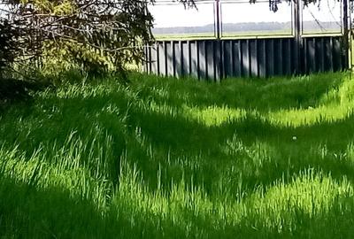 Casă individuală cu 4 camere cu Piscina în Belciugatele - 29