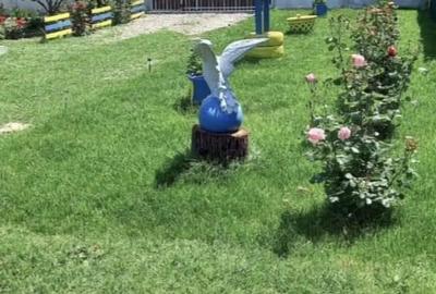 Casă cu 3 camere în Ograda - 1