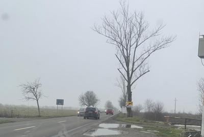 Teren agricol intravilan de 4000 mp, în Dimieni - 3