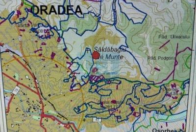 Teren Construcții intravilan de 800 mp, în Podgoria - 3