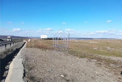 Teren de 11600 mp, în Șcheia - 3