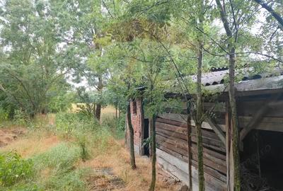 Casa de vanzare in Sinersig - 3