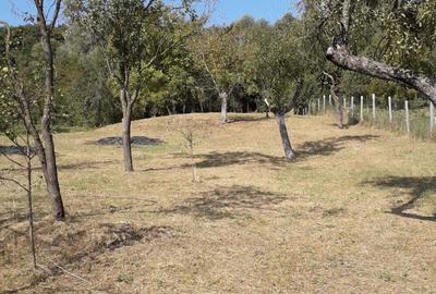 Casă cu 2 camere în Gârdani - 7