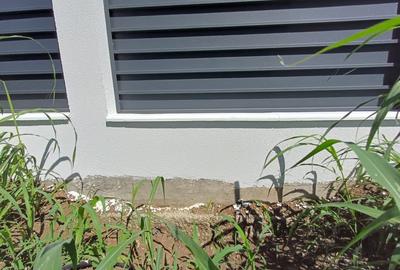 CASA 4 CAMERE , BECI , VALEA ADANCA 5 DRUMURI - 5