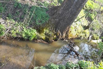 Teren 2900 m2, com. Salcuta, Jud. Dolj - 9