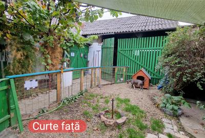 Casă cu 3 camere în Lotrioara - 6