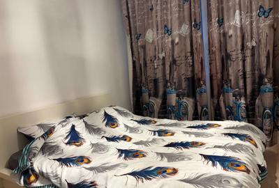 Apartament cu 2 camere decomandat, mobilat în P-ța Reșița - 5