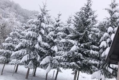 Casă individuală cu 4 camere cu Teren 4150 Mp în Cheile Râșnoavei - 6