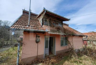 Casa cu 2 camere, sat Cetea - Galda - 2