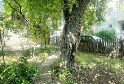 Casă cu 2 camere în Albești - 4