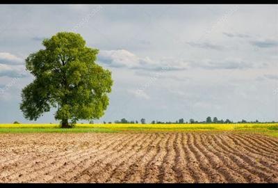Spațiu comercial, în Valea Dacilor - 1
