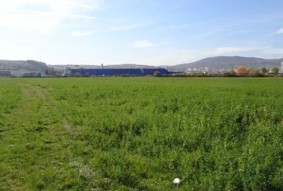 Vand teren intravilan in Deva suprafata totala 43 000 mp, zona Auchan - 3