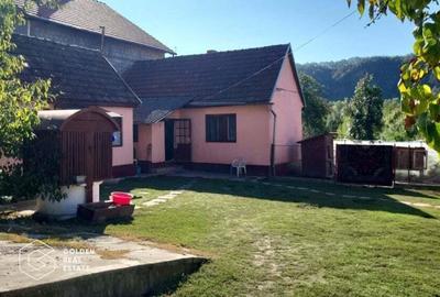 Casa cu 3 corpuri de cladire, localitatea Lipova - 2